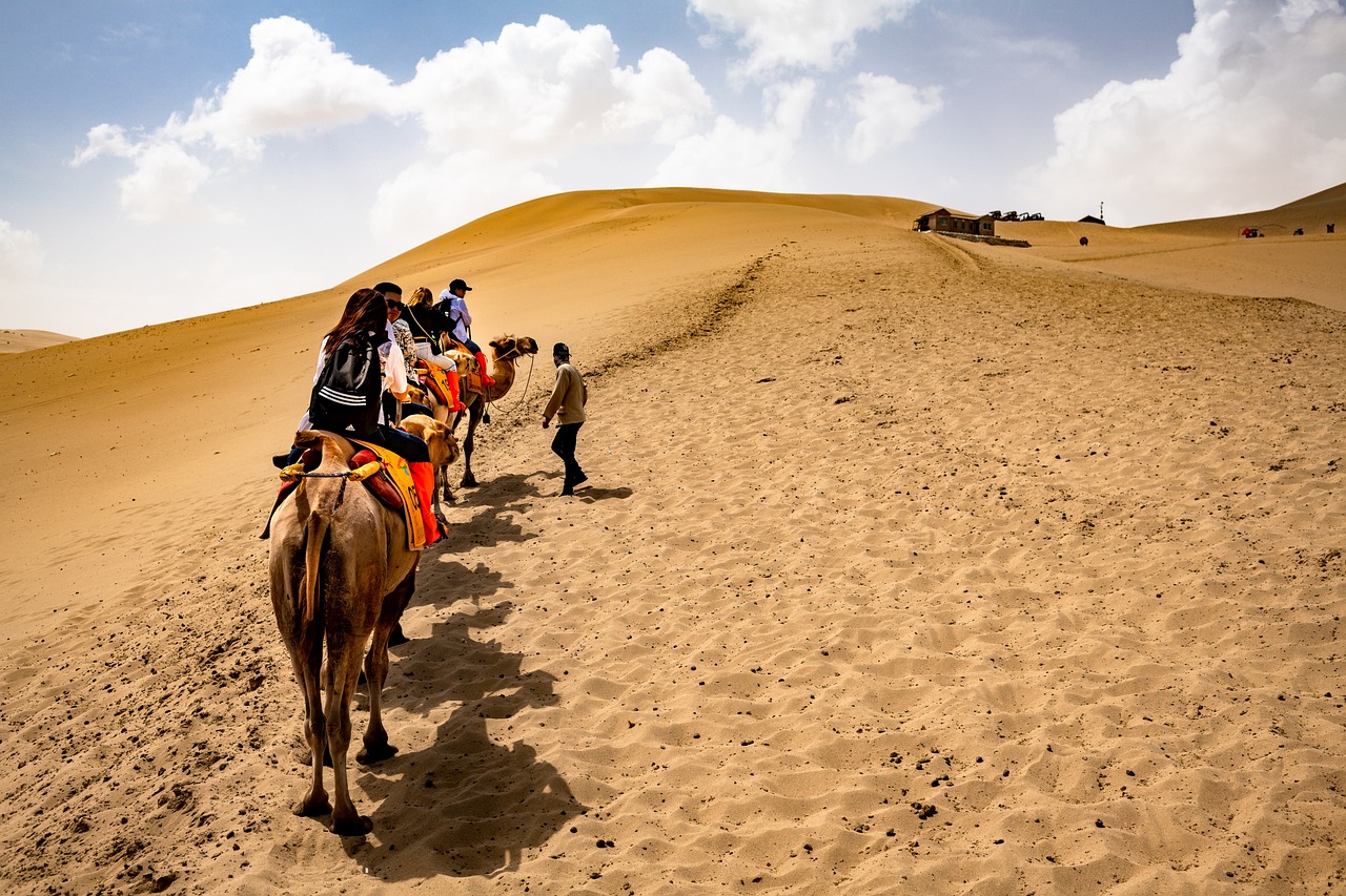 desert, camels, ride-5781437.jpg
